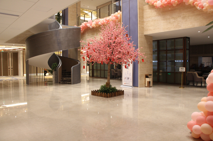 四星級(jí)平輿開(kāi)元大酒店裝修實(shí)景圖(圖7)