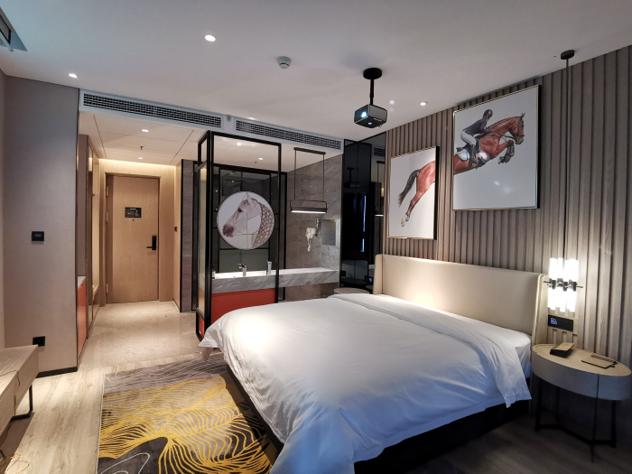 四星級(jí)平輿開(kāi)元大酒店裝修實(shí)景圖(圖19)