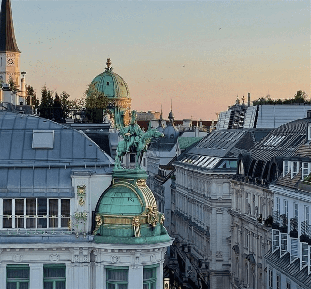 酒店設計公司推薦維也納瑰麗酒店裝修案例(圖8)