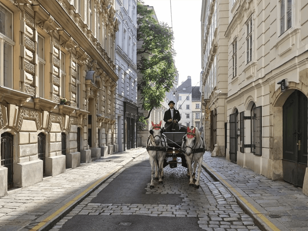 酒店設計公司推薦維也納瑰麗酒店裝修案例(圖10)