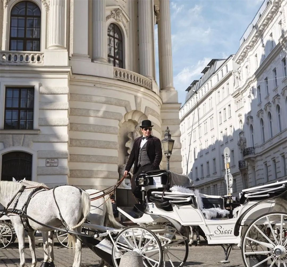 酒店設計公司推薦維也納瑰麗酒店裝修案例(圖11)